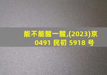 能不能醒一醒,(2023)京 0491 民初 5918 号